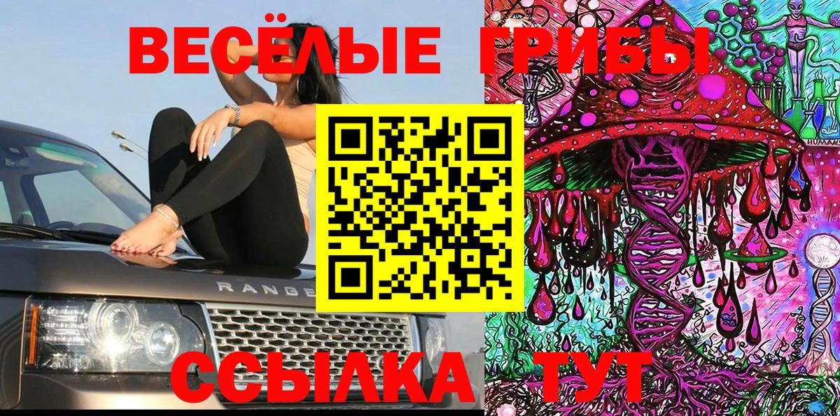 Псилоцибиновые грибы Magic Shrooms  Вход с VPN  Галлюциногенные грибы Psilocybe  Нефтекумск 